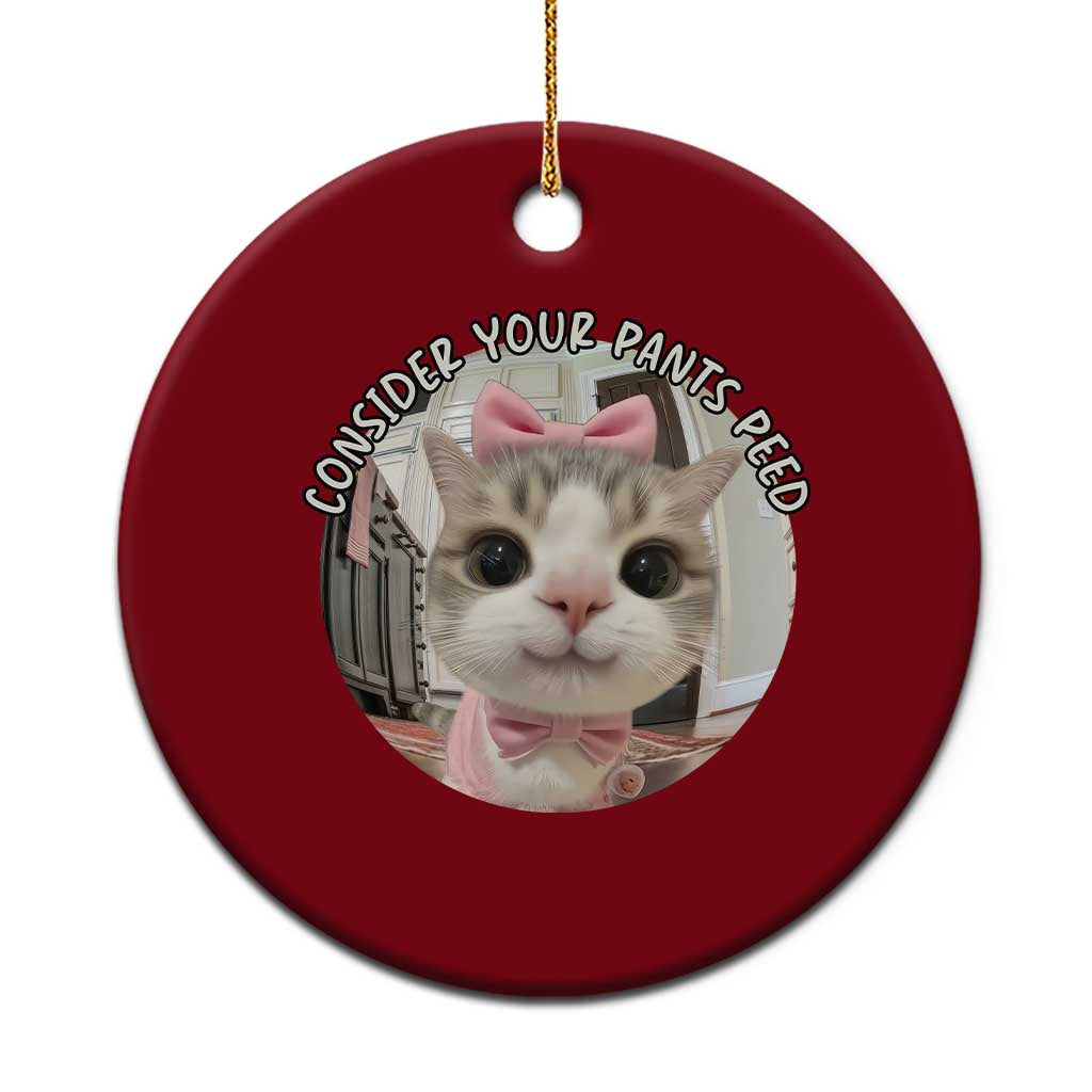 Consider Your Pants Peed Ceramic Ornament Funny Cat Meme Saying TS12 1pc Red Print Your Wear