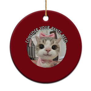 Consider Your Pants Peed Ceramic Ornament Funny Cat Meme Saying TS12 1pc Red Print Your Wear