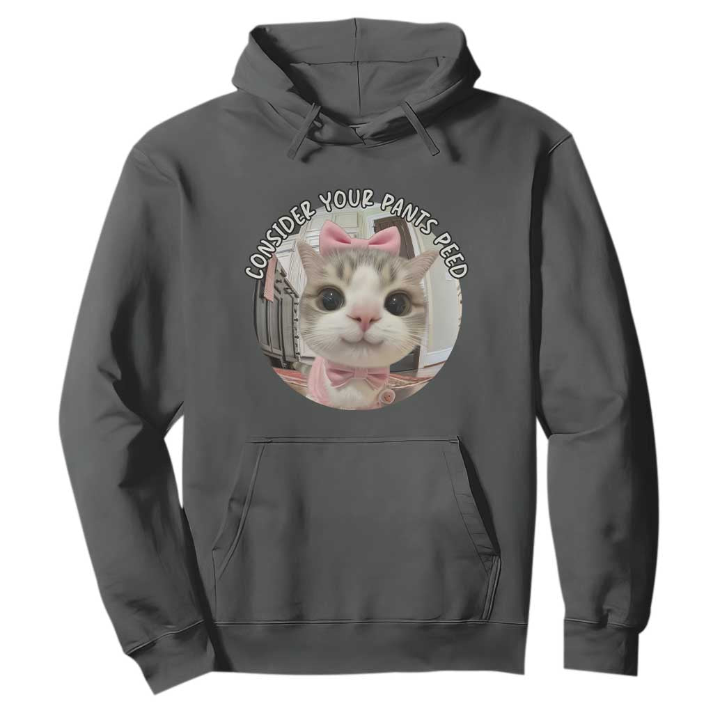Consider Your Pants Peed Hoodie Funny Cat Meme Saying TS12 Dark Heather Print Your Wear