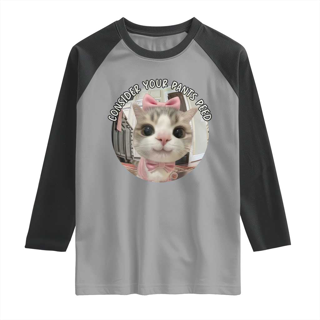 Consider Your Pants Peed Raglan Shirt Funny Cat Meme Saying TS12 Sport Gray Black Print Your Wear