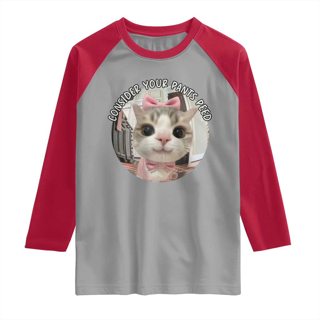 Consider Your Pants Peed Raglan Shirt Funny Cat Meme Saying TS12 Sport Gray Red Print Your Wear