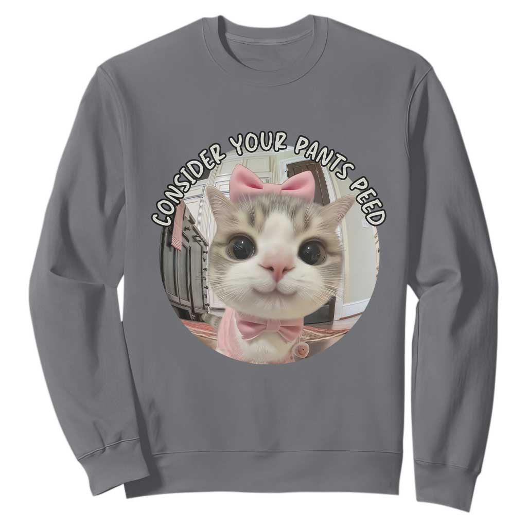 Consider Your Pants Peed Sweatshirt Funny Cat Meme Saying TS12 Charcoal Print Your Wear
