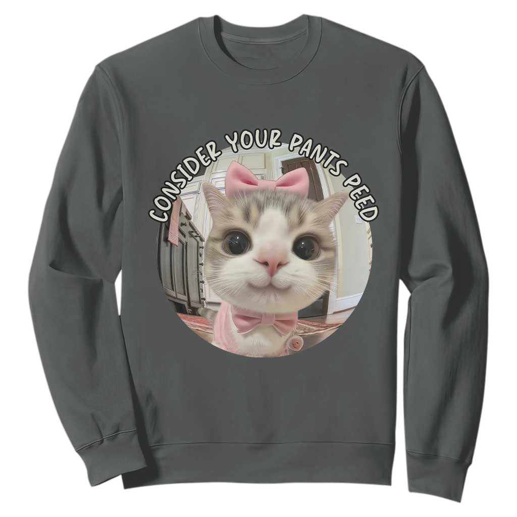 Consider Your Pants Peed Sweatshirt Funny Cat Meme Saying TS12 Dark Heather Print Your Wear