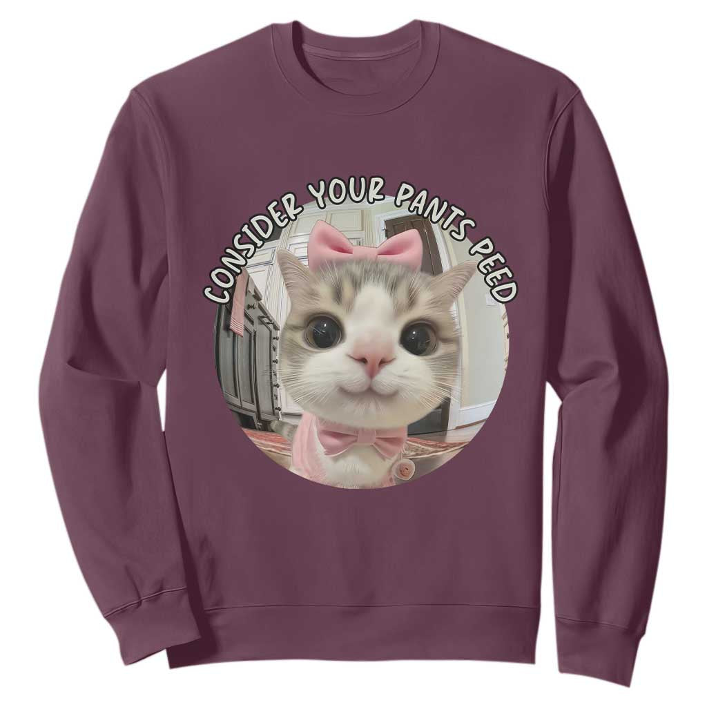 Consider Your Pants Peed Sweatshirt Funny Cat Meme Saying TS12 Maroon Print Your Wear