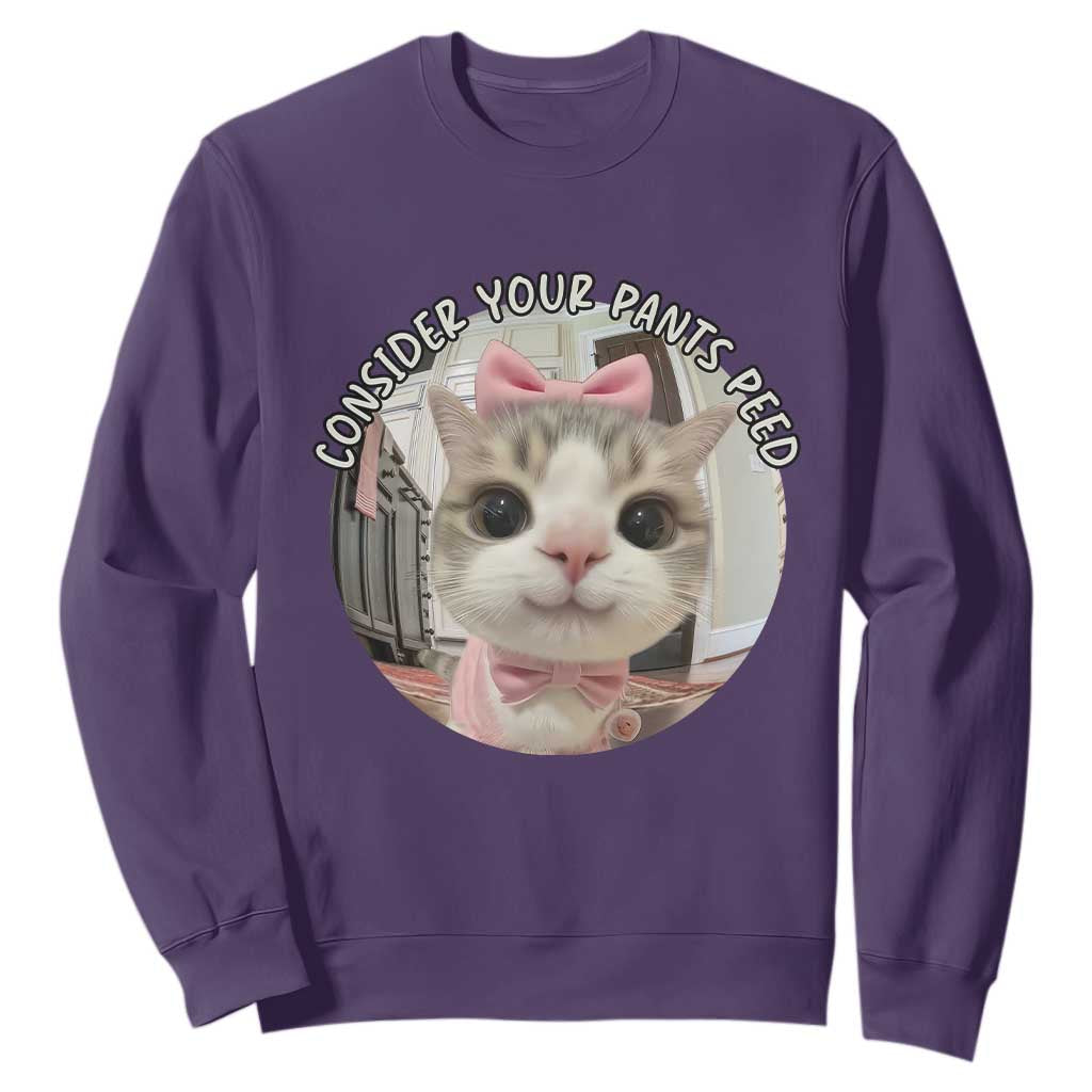 Consider Your Pants Peed Sweatshirt Funny Cat Meme Saying TS12 Purple Print Your Wear