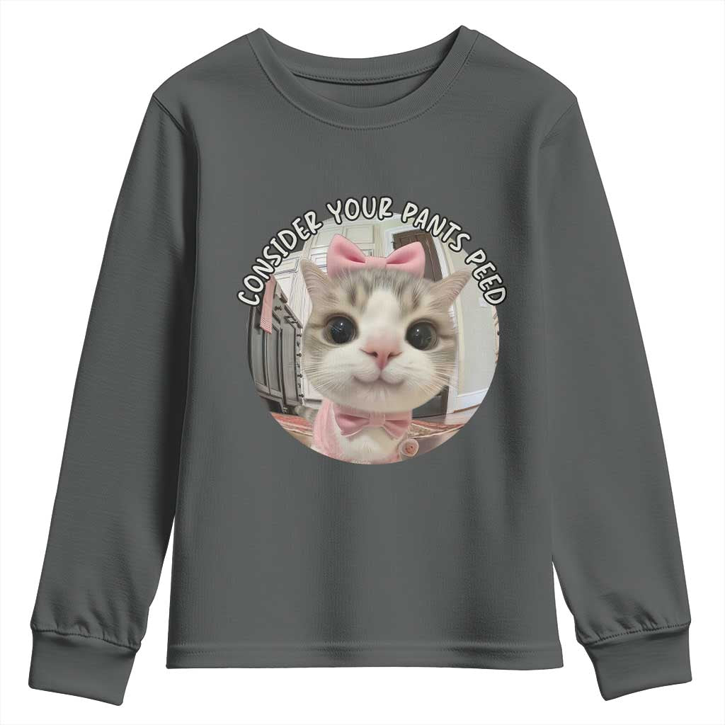 Consider Your Pants Peed Youth Sweatshirt Funny Cat Meme Saying TS12 Dark Heather Print Your Wear