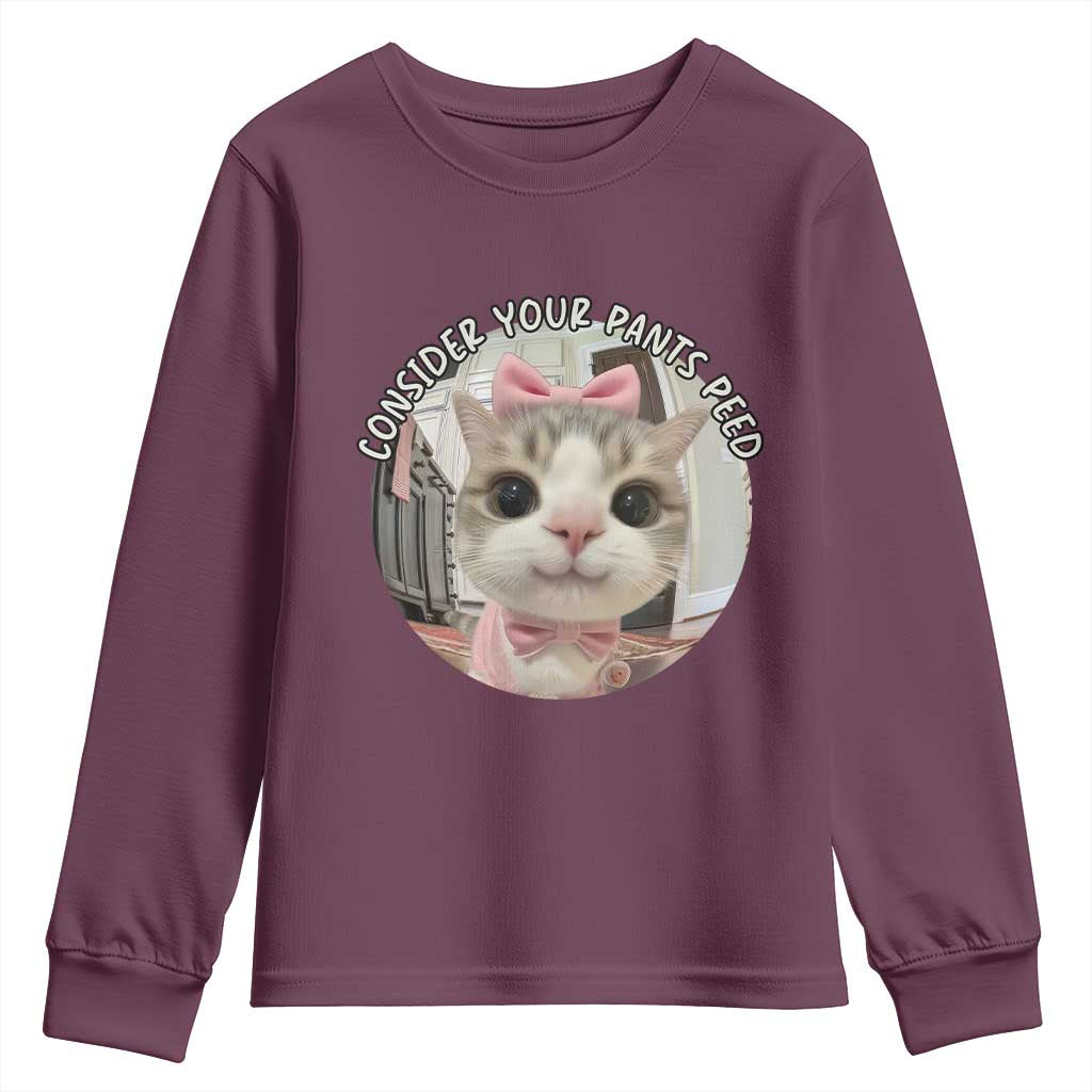 Consider Your Pants Peed Youth Sweatshirt Funny Cat Meme Saying TS12 Maroon Print Your Wear