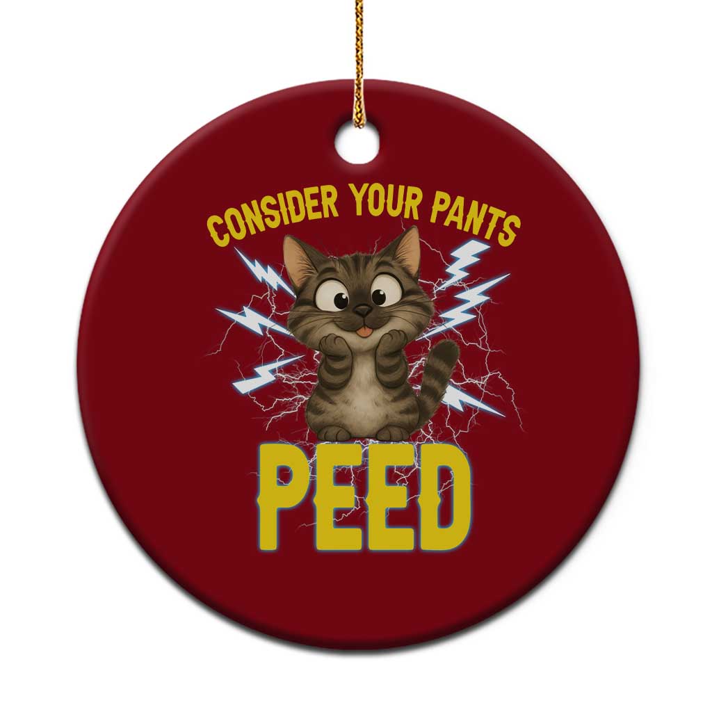 Funny Cat Lover Ceramic Ornament Consider Your Pants Peed Quote TS12 1pc Red Print Your Wear