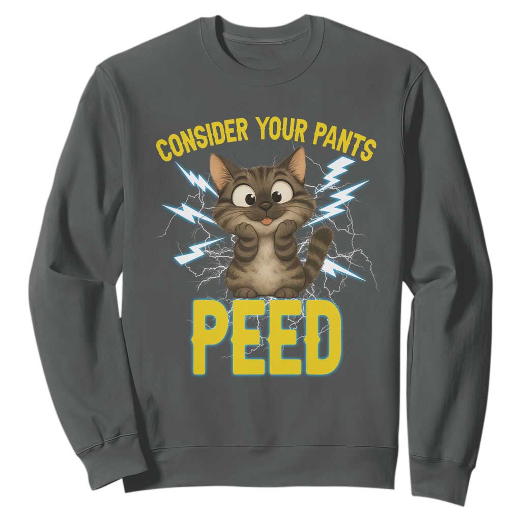 Funny Cat Lover Sweatshirt Consider Your Pants Peed Quote TS12 Dark Heather Print Your Wear