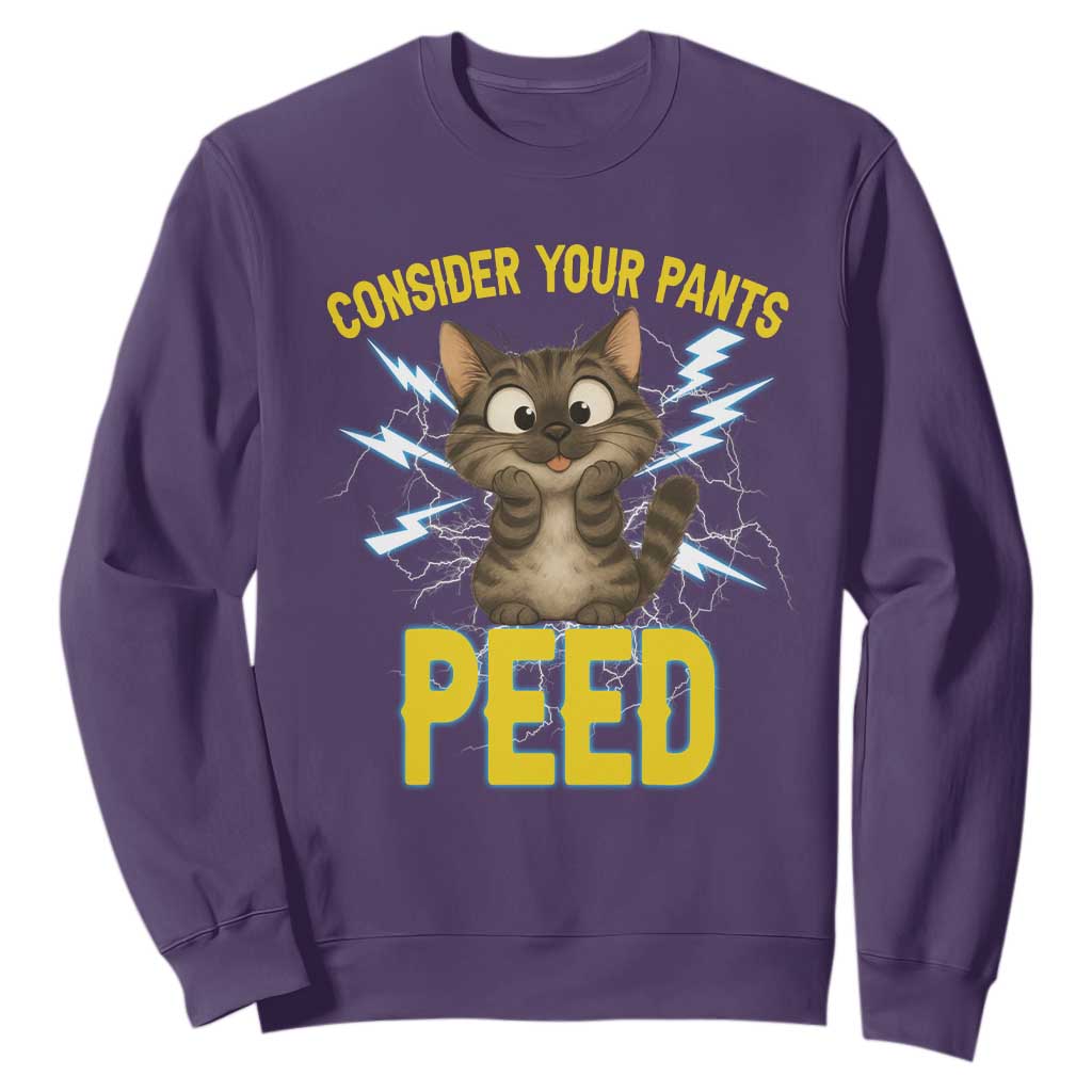 Funny Cat Lover Sweatshirt Consider Your Pants Peed Quote TS12 Purple Print Your Wear