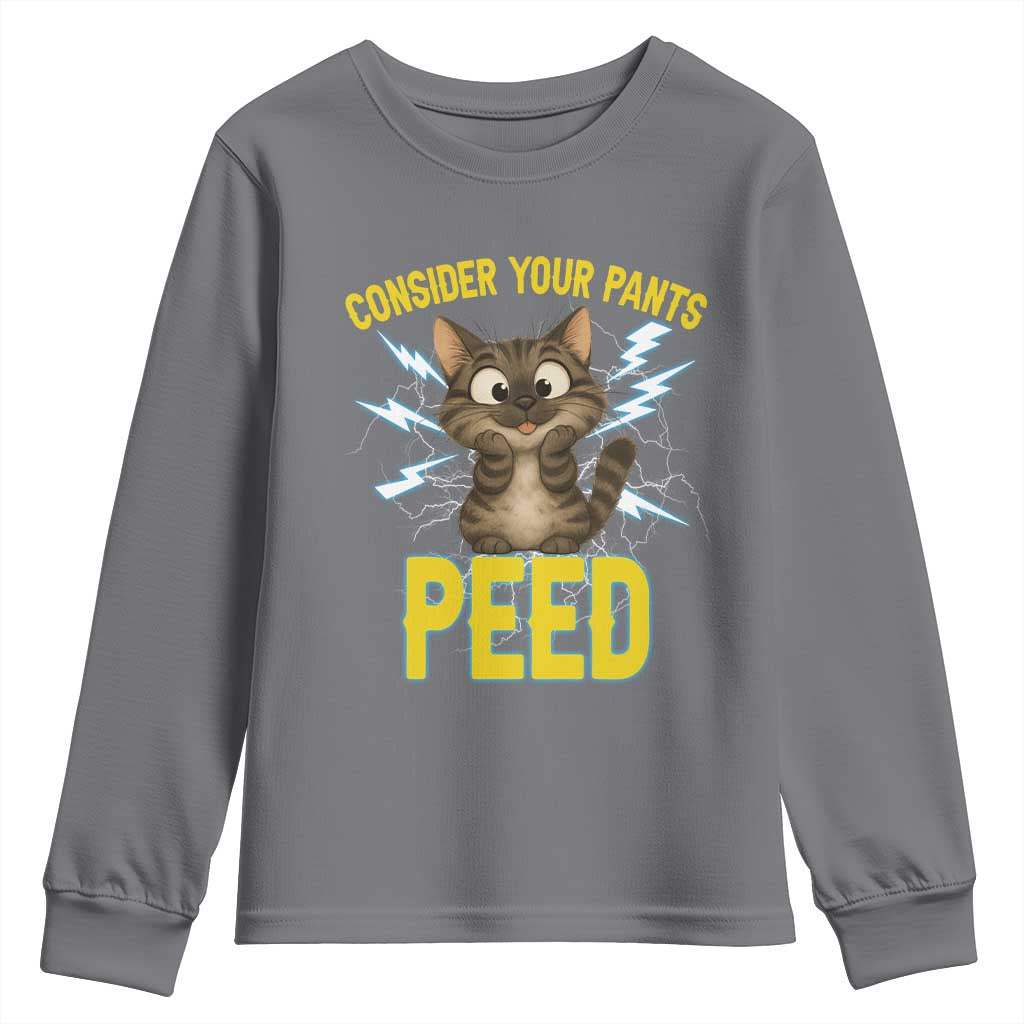 Funny Cat Lover Youth Sweatshirt Consider Your Pants Peed Quote TS12 Charcoal Print Your Wear