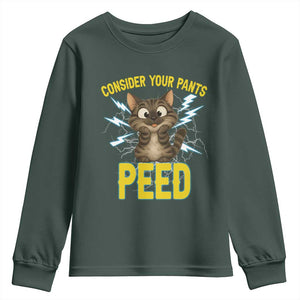 Funny Cat Lover Youth Sweatshirt Consider Your Pants Peed Quote TS12 Dark Forest Green Print Your Wear