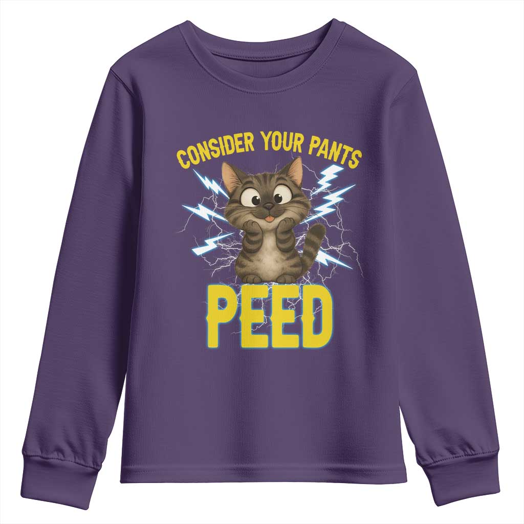Funny Cat Lover Youth Sweatshirt Consider Your Pants Peed Quote TS12 Purple Print Your Wear