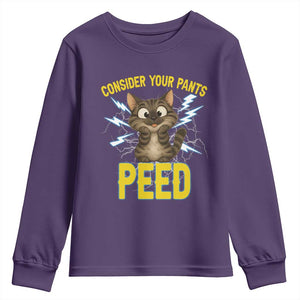 Funny Cat Lover Youth Sweatshirt Consider Your Pants Peed Quote TS12 Purple Print Your Wear