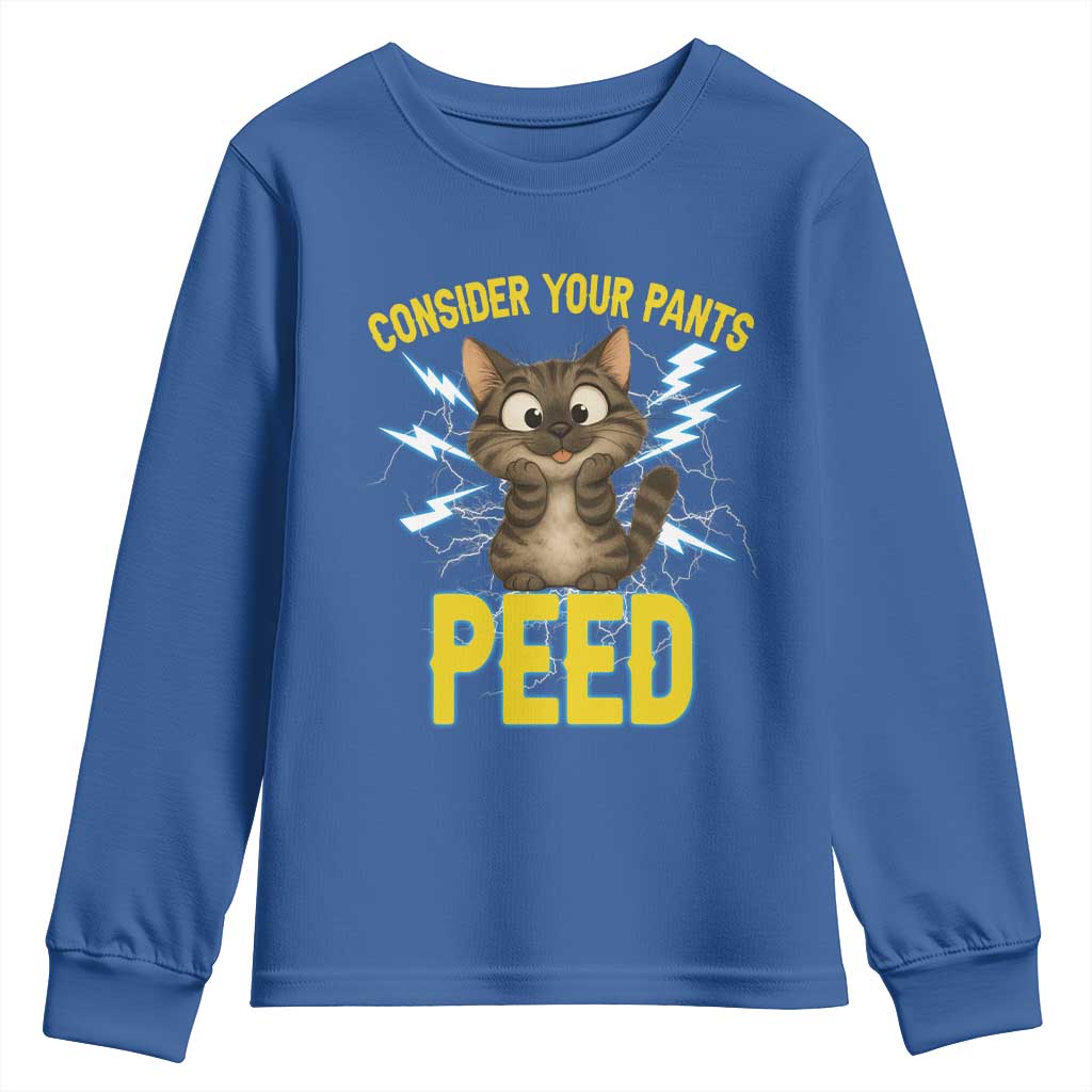 Funny Cat Lover Youth Sweatshirt Consider Your Pants Peed Quote TS12 Royal Blue Print Your Wear