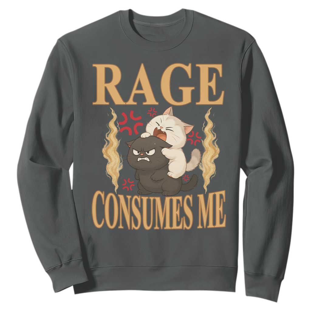 Cute Cat Sweatshirt Rage Is Consuming Me TS12 Dark Heather Print Your Wear