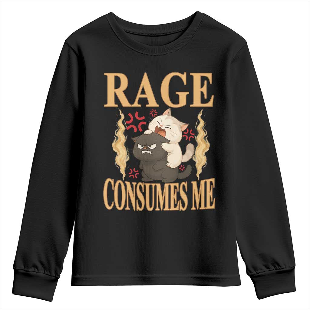 Cute Cat Youth Sweatshirt Rage Is Consuming Me TS12 Black Print Your Wear