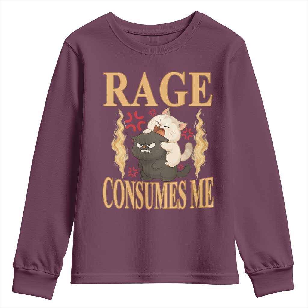 Cute Cat Youth Sweatshirt Rage Is Consuming Me TS12 Maroon Print Your Wear