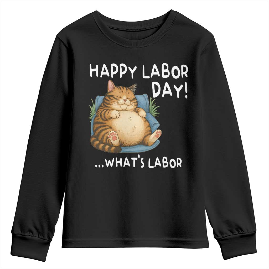 Funny Fat Cat Resting Lazy Cat Youth Sweatshirt Happy Labor Day Whats Labor TS12 Black Print Your Wear