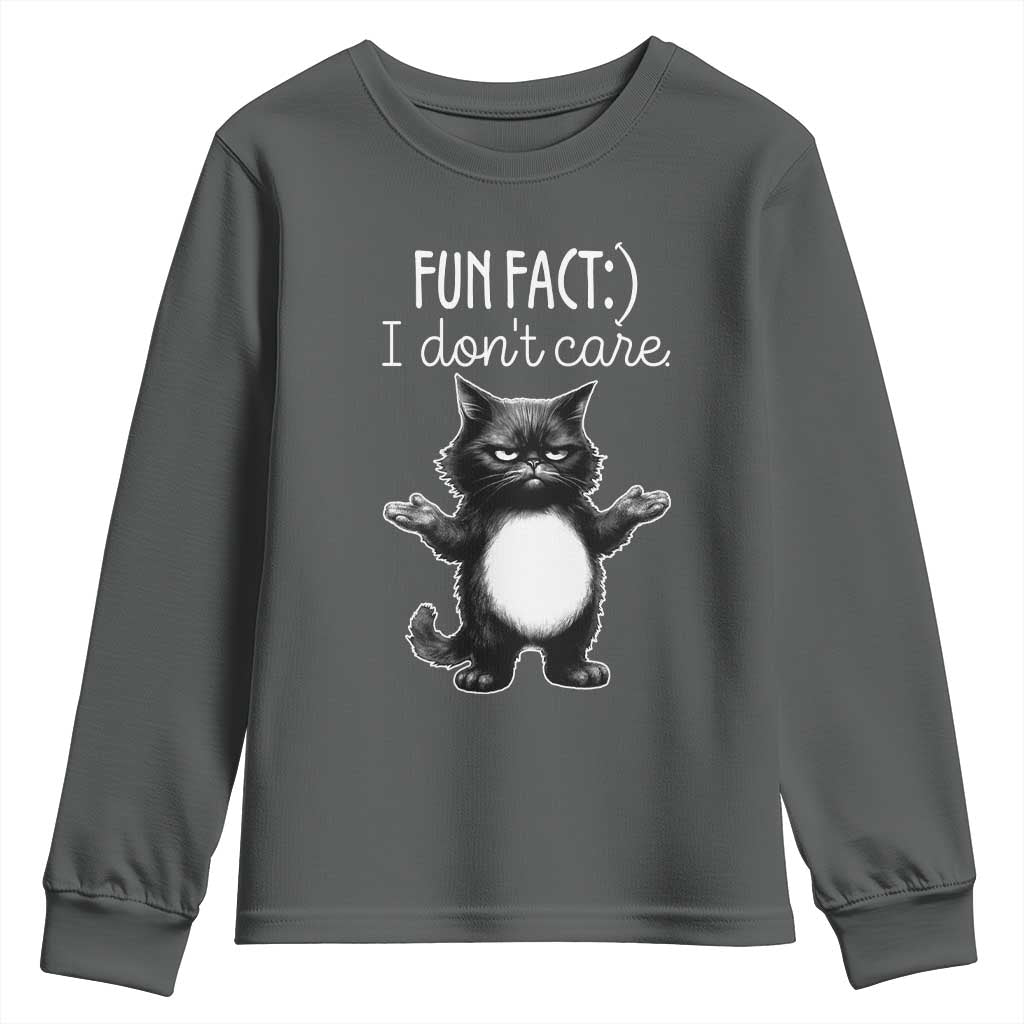 Funny Cat Lover Youth Sweatshirt Fun Fact I Do Not Care Quote TS12 Dark Heather Print Your Wear