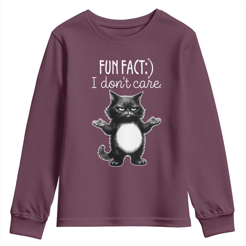 Funny Cat Lover Youth Sweatshirt Fun Fact I Do Not Care Quote TS12 Maroon Print Your Wear