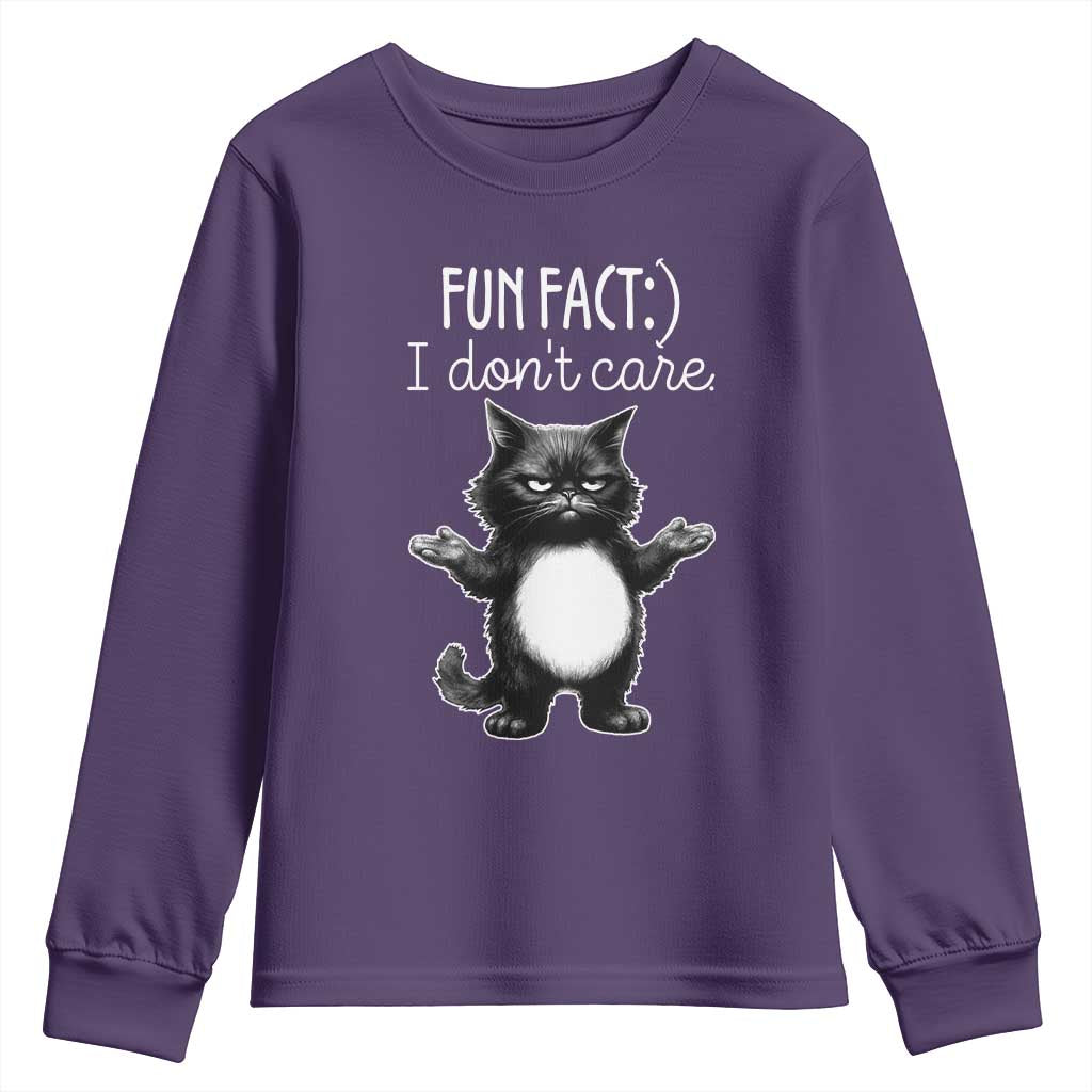 Funny Cat Lover Youth Sweatshirt Fun Fact I Do Not Care Quote TS12 Purple Print Your Wear