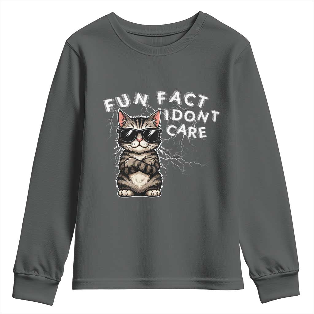 Fun Fact I Do Not Care Youth Sweatshirt Grumpy Cat Lover TS12 Dark Heather Print Your Wear