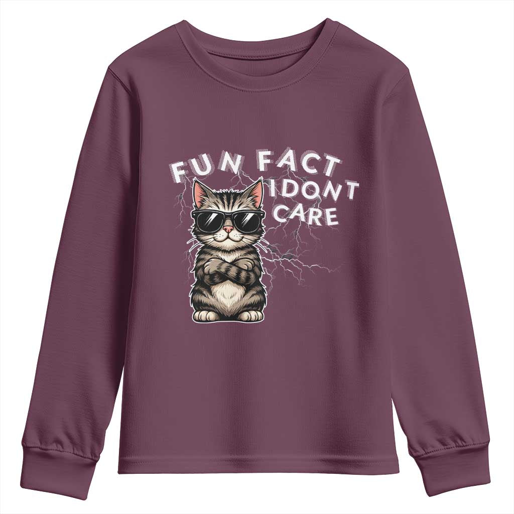 Fun Fact I Do Not Care Youth Sweatshirt Grumpy Cat Lover TS12 Maroon Print Your Wear