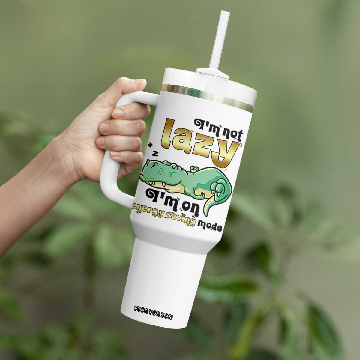 Funny Dinosaur Lover Tumbler With Handle I Am Not Lazy I Am On Energy Saving Mode TS12 Print Your Wear