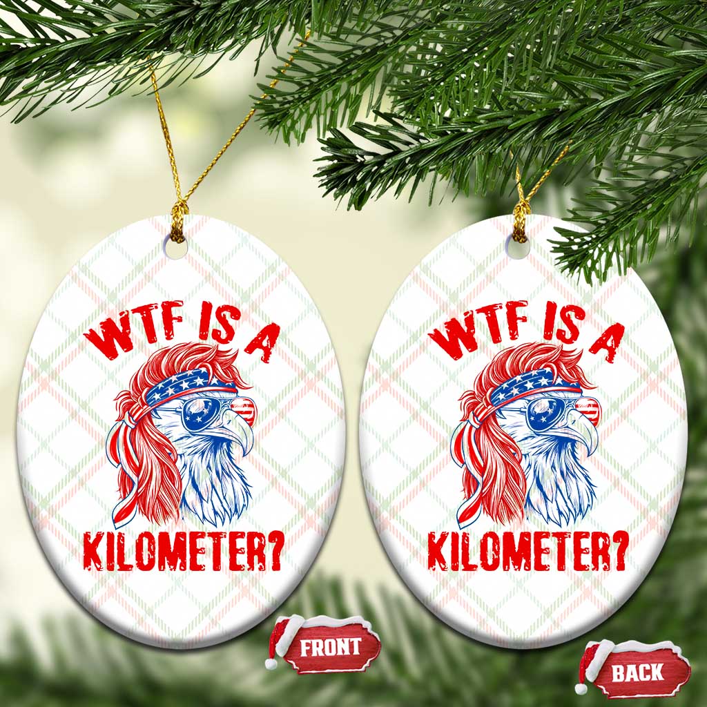 WTF is A Kilometer Ceramic Ornament Patriotic Eagle 4th of July USA American Flag