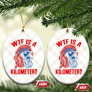 WTF is A Kilometer Ceramic Ornament Patriotic Eagle 4th of July USA American Flag