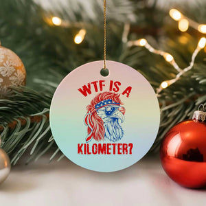 WTF is A Kilometer Ceramic Ornament Patriotic Eagle 4th of July USA American Flag