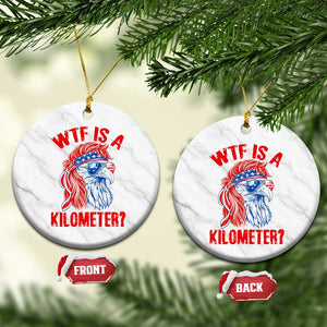 WTF is A Kilometer Ceramic Ornament Patriotic Eagle 4th of July USA American Flag