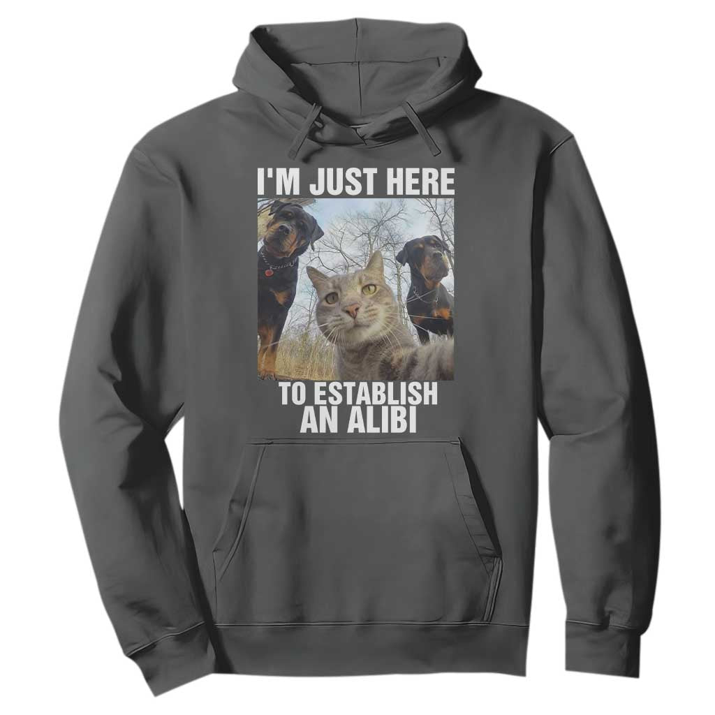 Funny Cat Dog Selfie Hoodie I Am Just Here To Establish An Alibi TS14 Dark Heather Print Your Wear