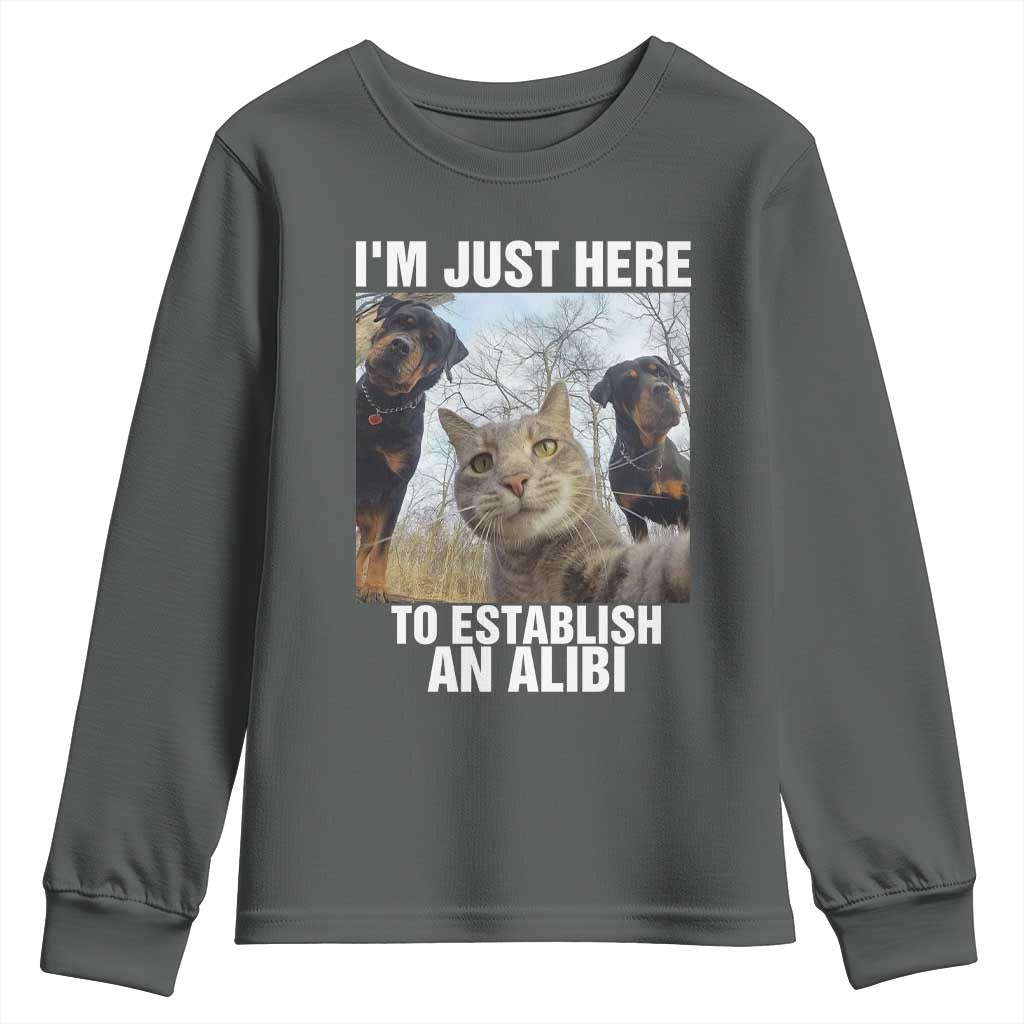 Funny Cat Dog Selfie Youth Sweatshirt I Am Just Here To Establish An Alibi TS14 Dark Heather Print Your Wear