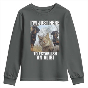 Funny Cat Dog Selfie Youth Sweatshirt I Am Just Here To Establish An Alibi TS14 Dark Heather Print Your Wear
