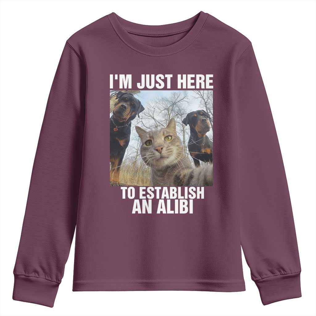 Funny Cat Dog Selfie Youth Sweatshirt I Am Just Here To Establish An Alibi TS14 Maroon Print Your Wear