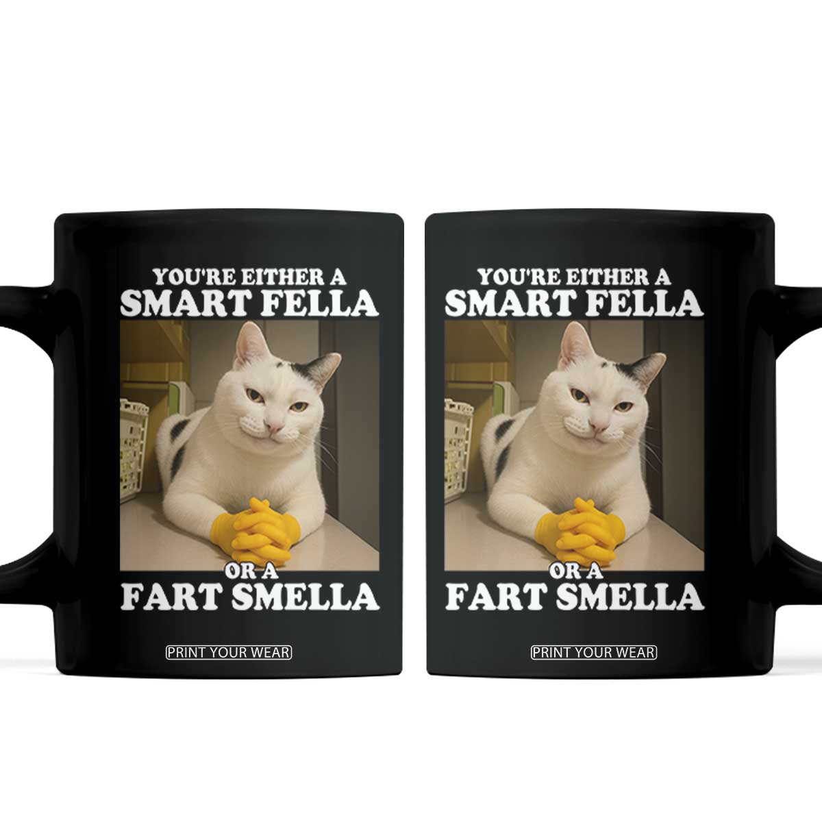 Funny Cat Meme Coffee Mug You Are Either A Smart Fella Or A Fart Smella TS14 Black Print Your Wear