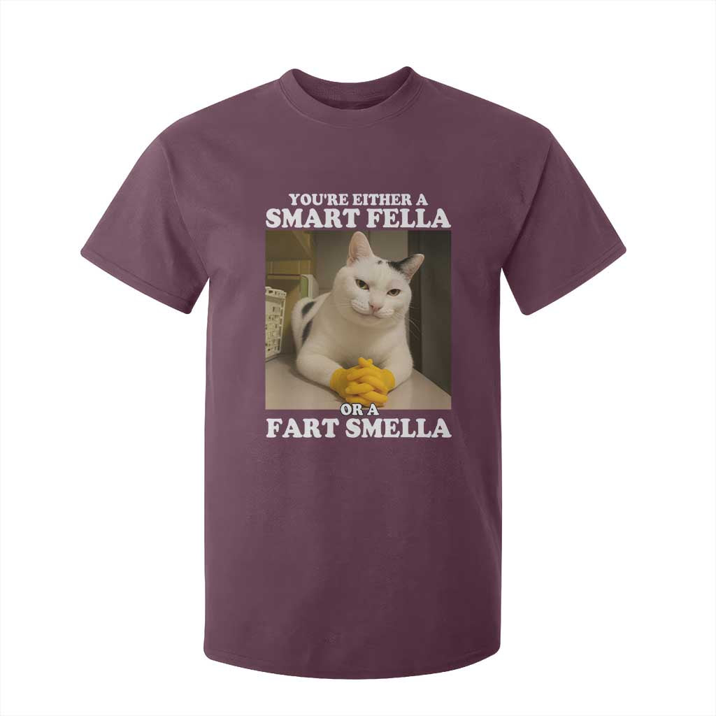 Funny Cat Meme T Shirt For Kid You Are Either A Smart Fella Or A Fart Smella TS14 Maroon Print Your Wear