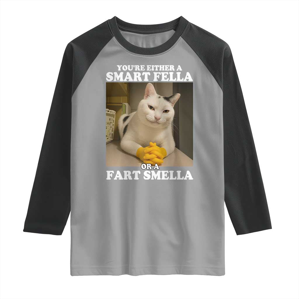 Funny Cat Meme Raglan Shirt You Are Either A Smart Fella Or A Fart Smella TS14 Sport Gray Black Print Your Wear