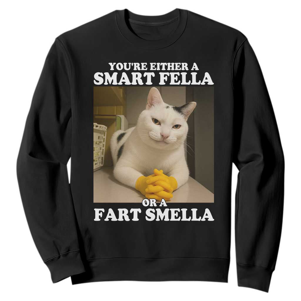 Funny Cat Meme Sweatshirt You Are Either A Smart Fella Or A Fart Smella TS14 Black Print Your Wear