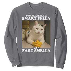 Funny Cat Meme Sweatshirt You Are Either A Smart Fella Or A Fart Smella TS14 Charcoal Print Your Wear