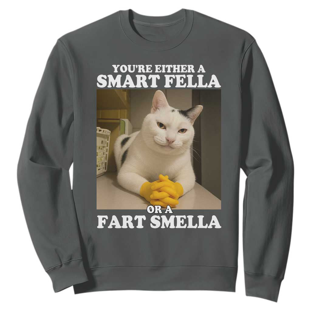 Funny Cat Meme Sweatshirt You Are Either A Smart Fella Or A Fart Smella TS14 Dark Heather Print Your Wear