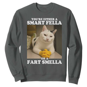 Funny Cat Meme Sweatshirt You Are Either A Smart Fella Or A Fart Smella TS14 Dark Heather Print Your Wear