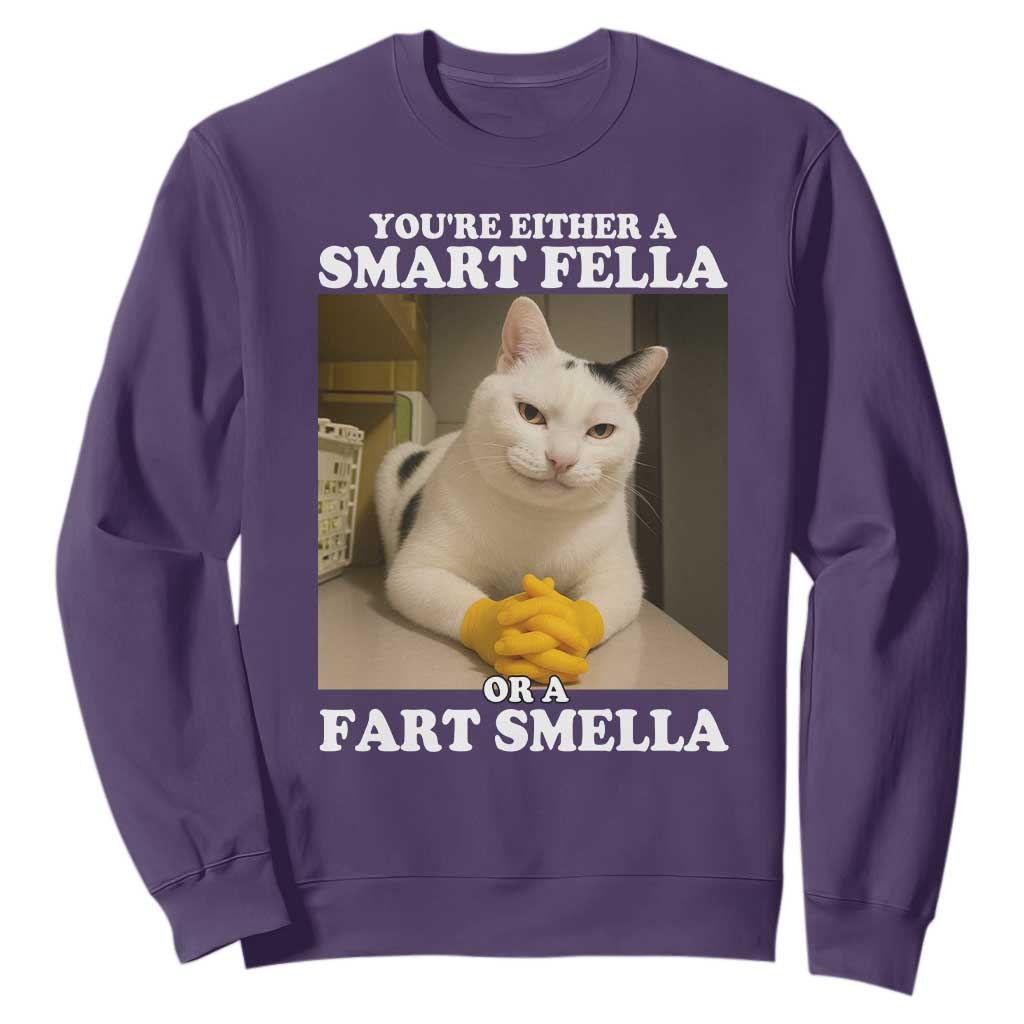 Funny Cat Meme Sweatshirt You Are Either A Smart Fella Or A Fart Smella TS14 Purple Print Your Wear