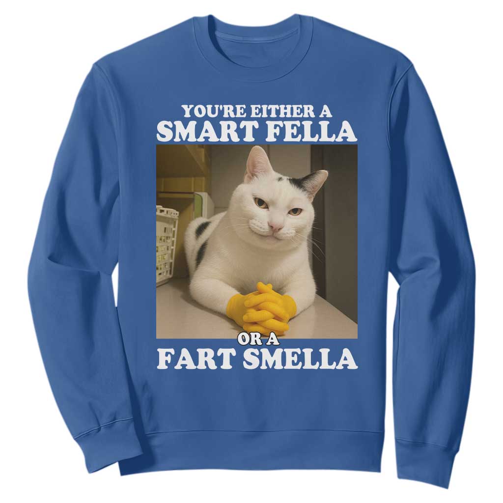 Funny Cat Meme Sweatshirt You Are Either A Smart Fella Or A Fart Smella TS14 Royal Blue Print Your Wear