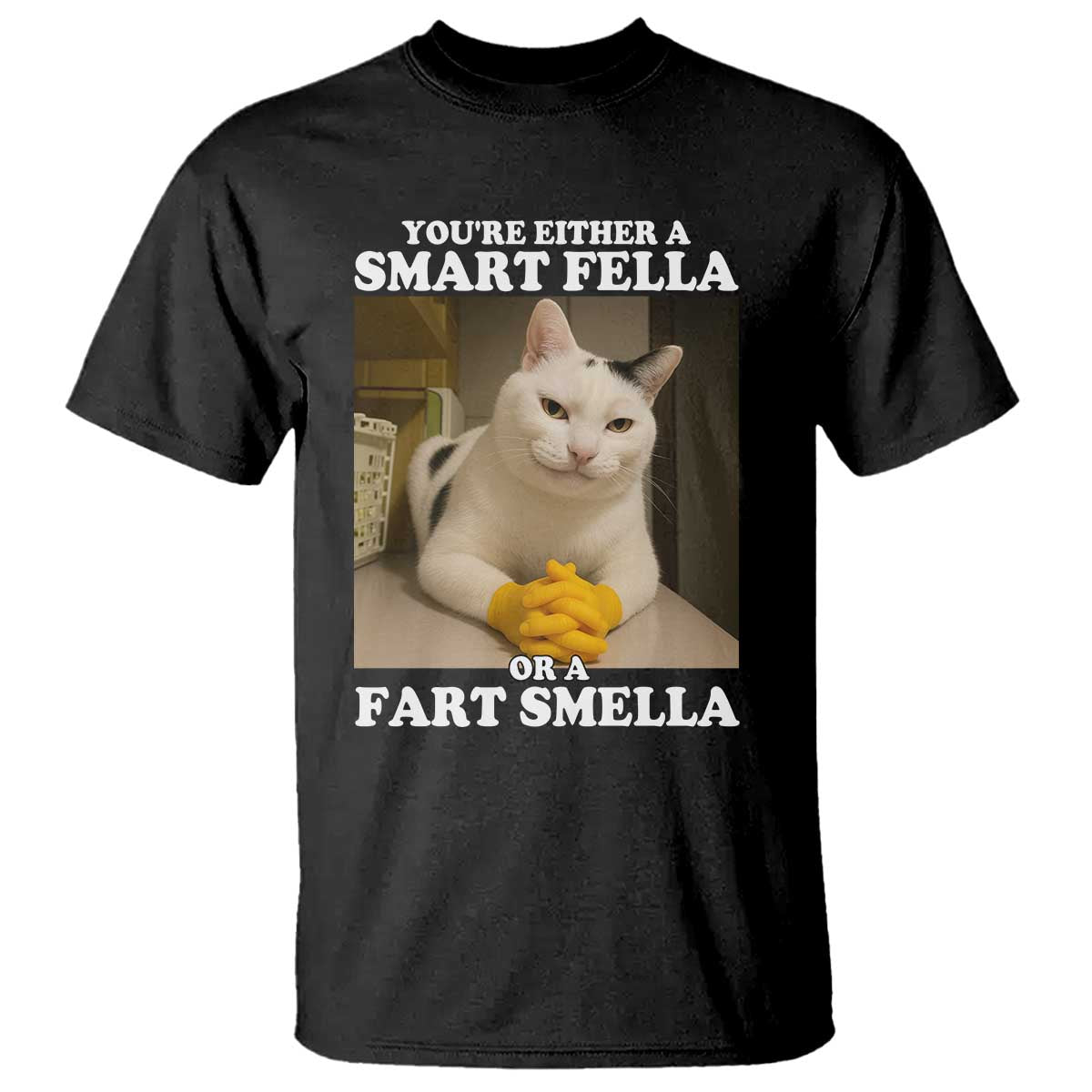 Funny Cat Meme T Shirt You Are Either A Smart Fella Or A Fart Smella TS14 Black Print Your Wear