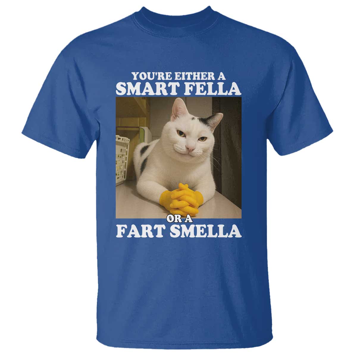 Funny Cat Meme T Shirt You Are Either A Smart Fella Or A Fart Smella TS14 Royal Blue Print Your Wear