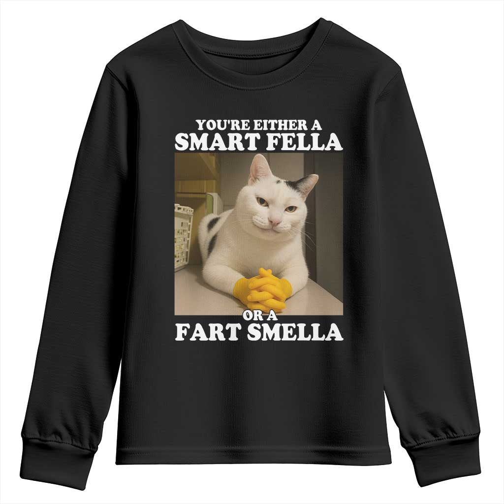 Funny Cat Meme Youth Sweatshirt You Are Either A Smart Fella Or A Fart Smella TS14 Black Print Your Wear