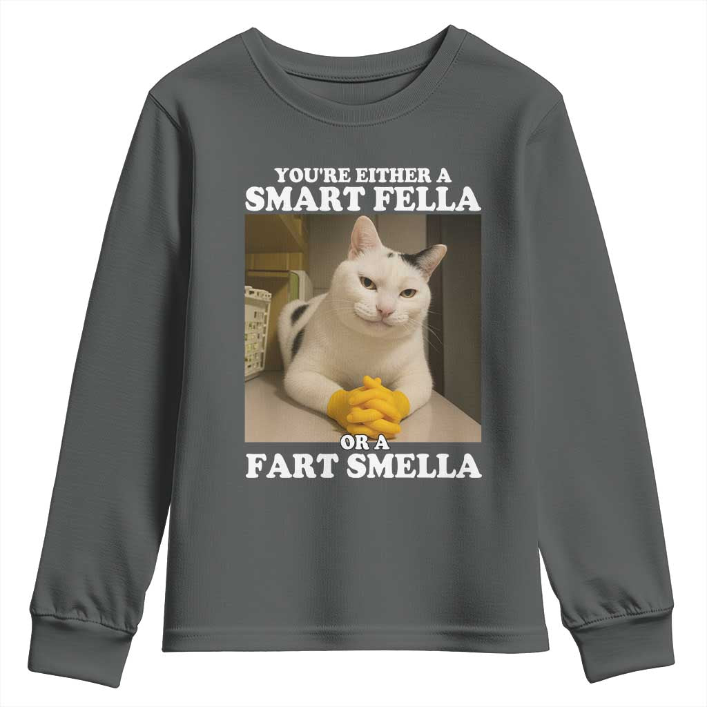 Funny Cat Meme Youth Sweatshirt You Are Either A Smart Fella Or A Fart Smella TS14 Dark Heather Print Your Wear
